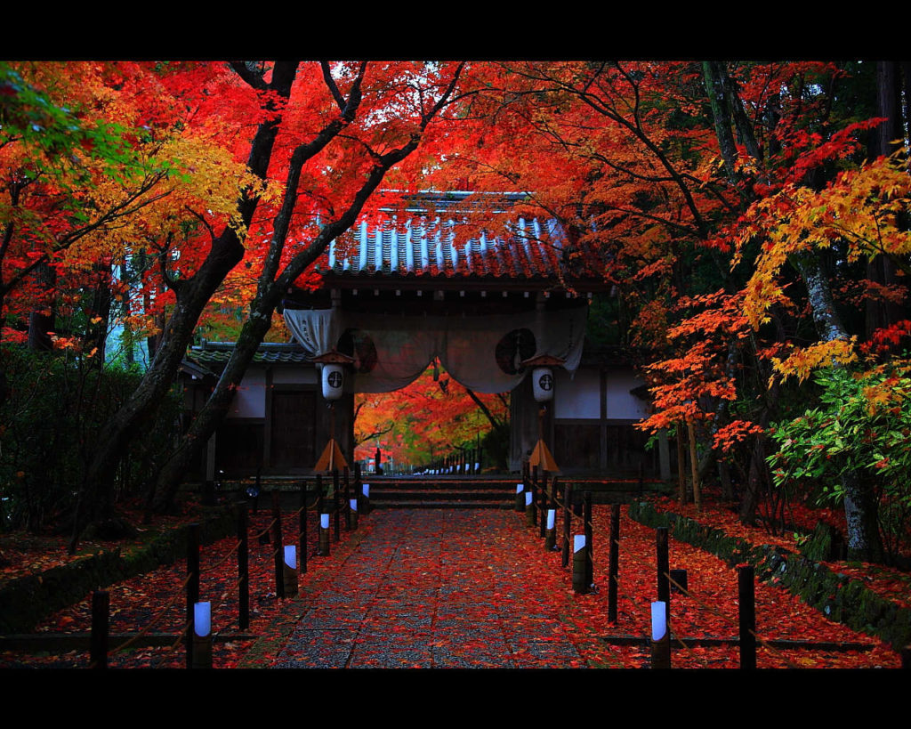 What a view. 20 most beautiful places in Kyoto for Autumn Leaf season ...